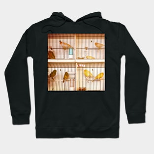 Marché Aux Oiseaux #2 Hoodie